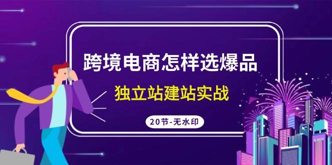 跨境电商怎样选爆品，独立站建站实战（20节高清无水印课）-项目网