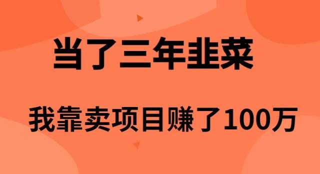 当了3年韭菜，我靠卖项目赚了100万-项目网