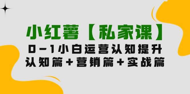 小红薯【私家课】0-1玩赚小红书内容营销，认知篇+营销篇+实战篇（11节课）-项目网