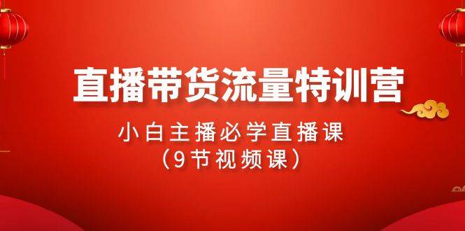 2024直播带货流量特训营，小白主播必学直播课（9节视频课）-项目网