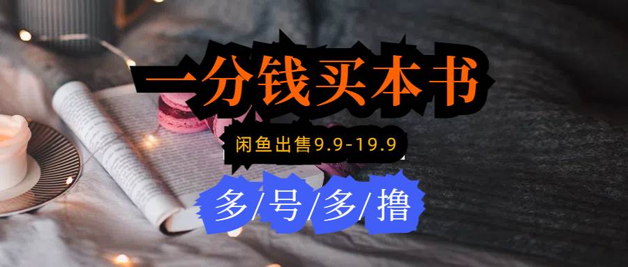 每天花1分钱买一本书，闲鱼出售9.9-19.9不等，多账号多撸 新手小白均可操作-项目网