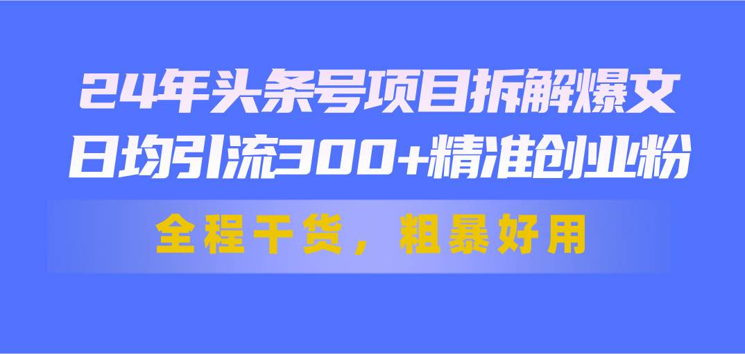 24年头条号项目拆解爆文，日均引流300+精准创业粉，全程干货，粗暴好用-项目网