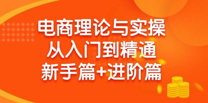 电商理论与实操从入门到精通 新手篇+进阶篇-项目网