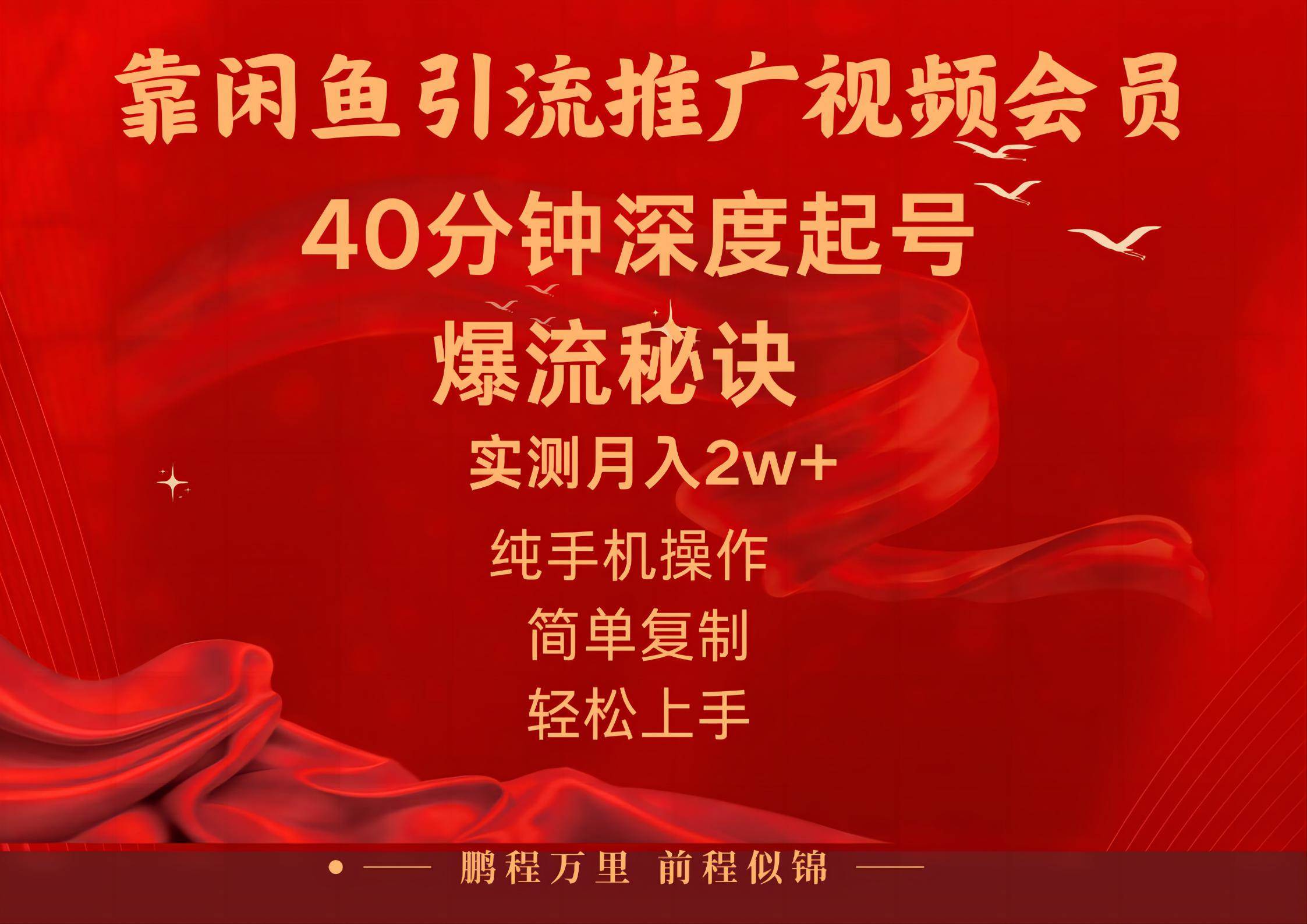 闲鱼暴力引流推广视频会员，能做到日入2W+，操作简单-项目网