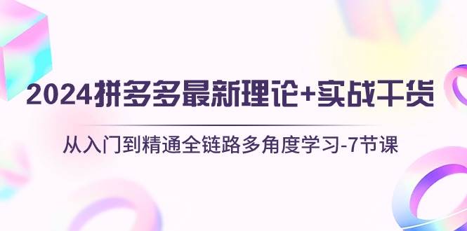 2024拼多多 最新理论+实战干货,从入门到精通全链路多角度学习-7节课-项目网