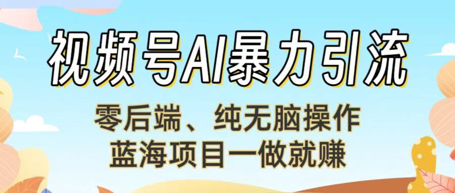 视频号AI暴力引流：零后端、纯无脑操作，蓝海项目一做就赚！【下面那个链接失效了】-项目网