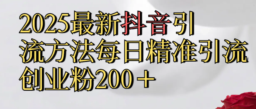 2025最新抖音引流,方法每日精准引流创业粉300＋-项目网