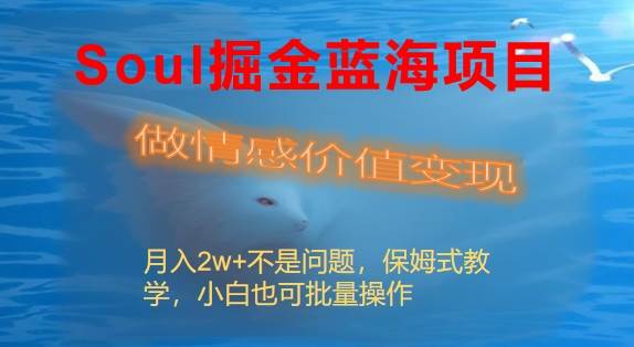 Soul掘金蓝海项目细分赛道，做情感价值变现，月入2w+不是问题-项目网