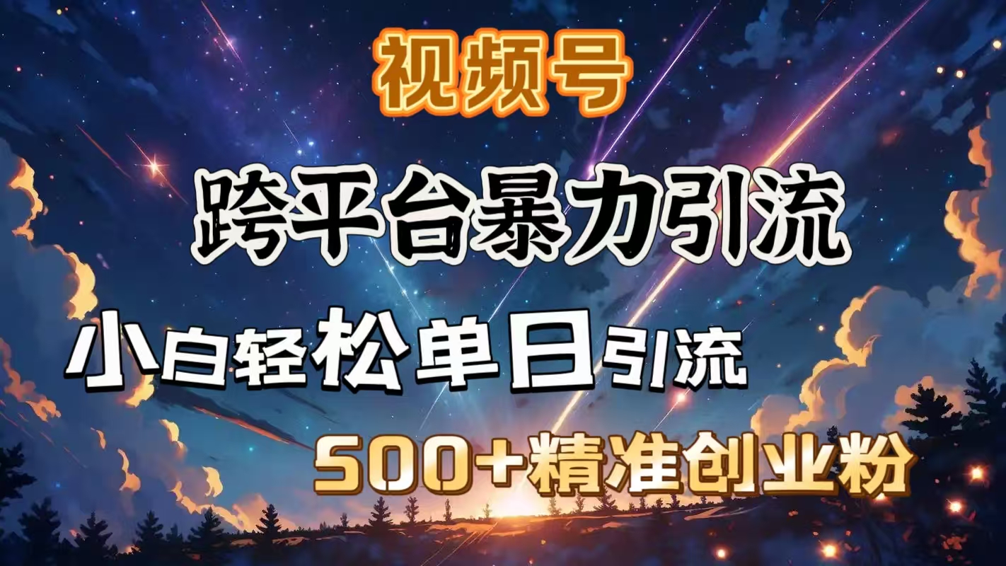 视频号跨平台暴力引流，小白轻松单日引流500＋精准创业粉-项目网