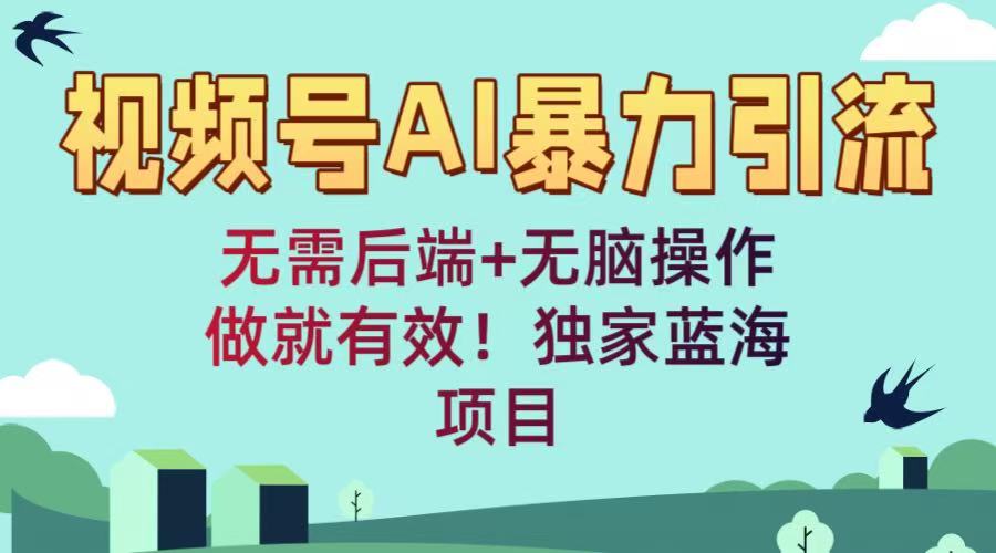 视频号AI暴力引流：无需后端+无脑操作，做就有效！独家蓝海项目-项目网