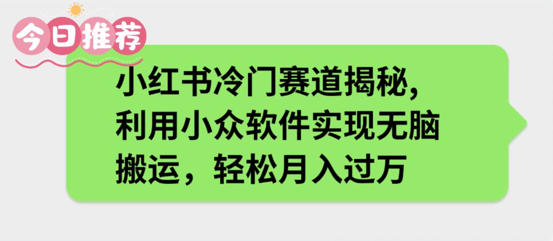 小红书冷门赛道揭秘,利用小众软件实现无脑搬运,轻松月入过万-项目网