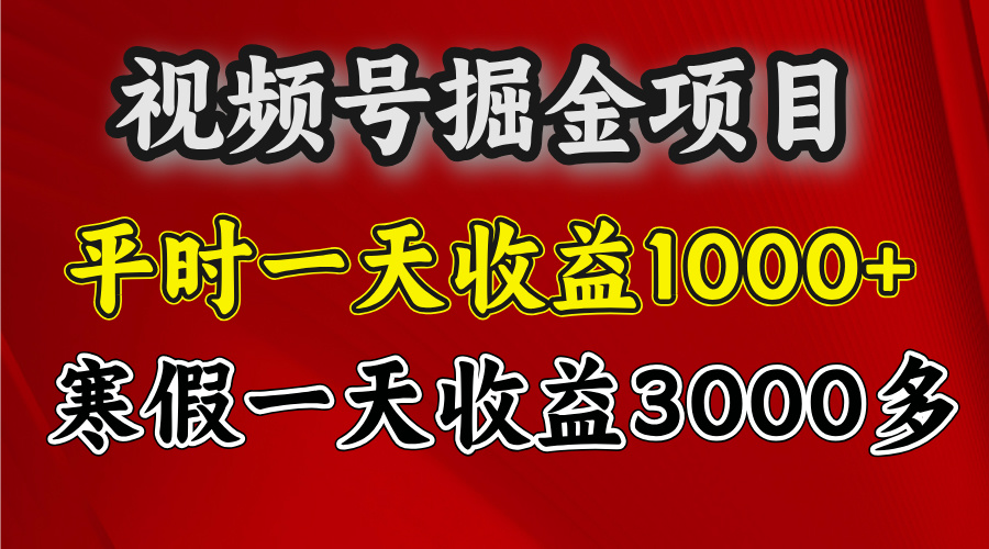 视频号掘金项目，寒假一天收益3000多-项目网