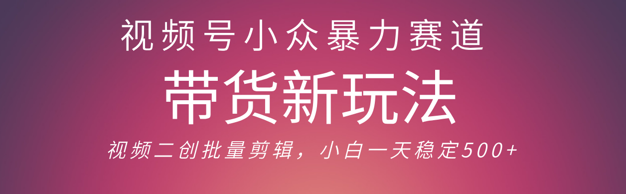 视频号小众暴力赛道,最新带货玩法 小白也能轻松日入500+ 保姆及教程-项目网