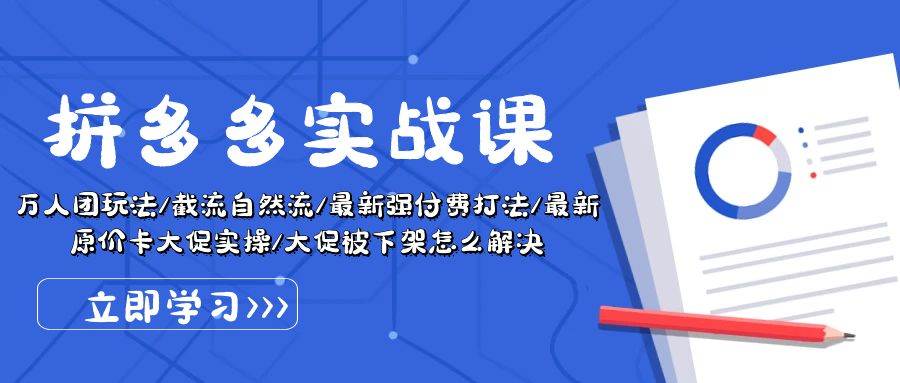 拼多多·实战课：万人团玩法/截流自然流/最新强付费打法/最新原价卡大促..-项目网