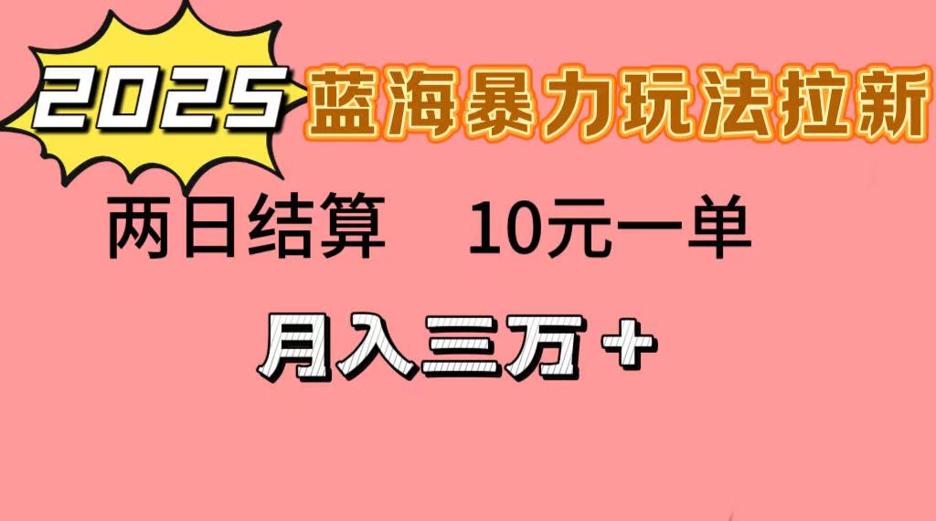 蓝海暴力拉新项目，10元一单，两日结算，月入3w➕-项目网