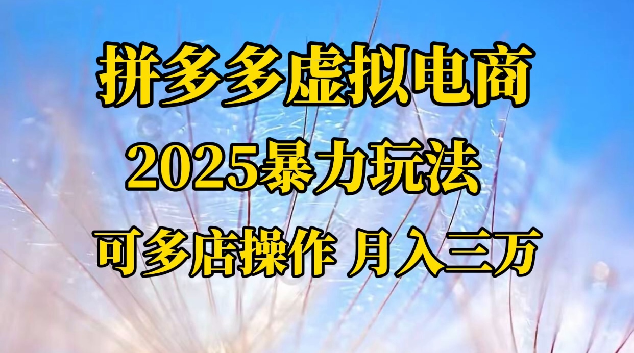 拼多多虚拟电商,不囤货不垫资的虚拟电商-项目网