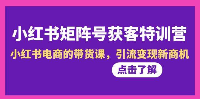 小红书-矩阵号获客特训营-第10期，小红书电商的带货课，引流变现新商机-项目网