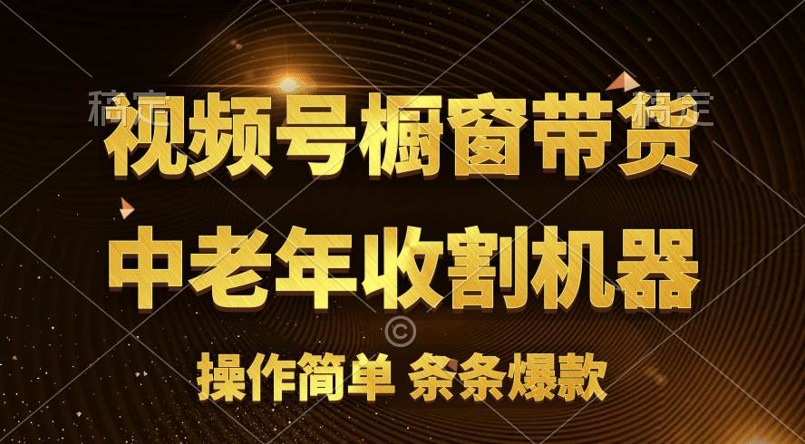 [你的孩子成功取得高位]视频号最火爆赛道，橱窗带货，流量分成计划，条…-项目网