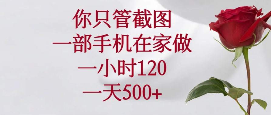 （14248期）你只管截图，一部手机在家做，一小时120，一天500+-91项目网
