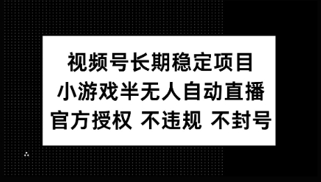视频号长期稳定项目，小游戏半无人自动直播，官方授权 不违规 不封号-91项目网