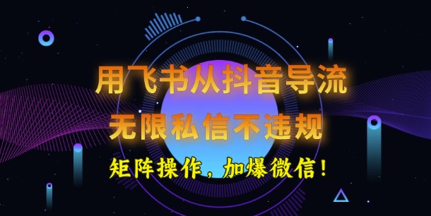 用飞书从抖音导流，无限私信不违规，抖音截流创业粉-91项目网