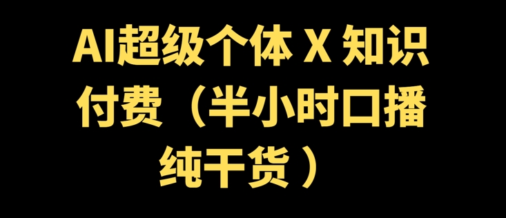 AI超级个体 + 知识付费(半小时口播纯干货 )-91项目网
