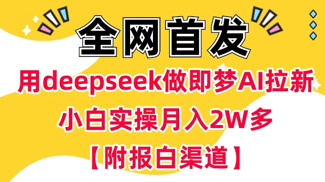 用deepseek做即梦Ai拉新 小白实操月入过W+【附报白渠道】-91项目网